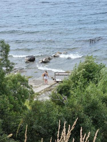 Melipal Schuss ARG41