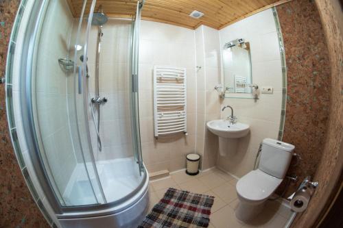 Mini Hotel Laplandiya - main image