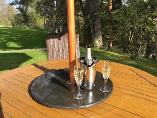 Dalrachney Lodge Hotel - image 10