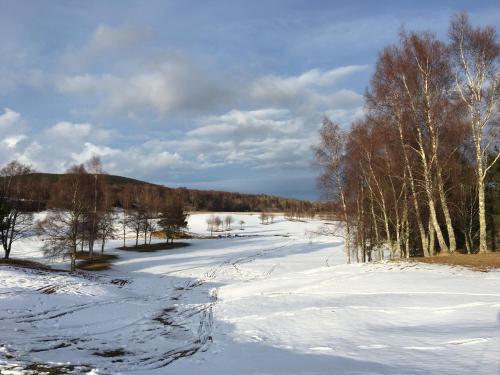 Dalrachney Lodge Hotel - image 8