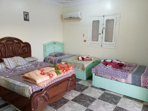 Go Inn Backpackers Room Type - Triple Room with View