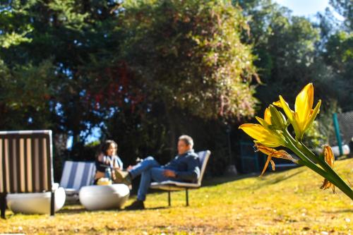 Serendipia Chalets de Montaña