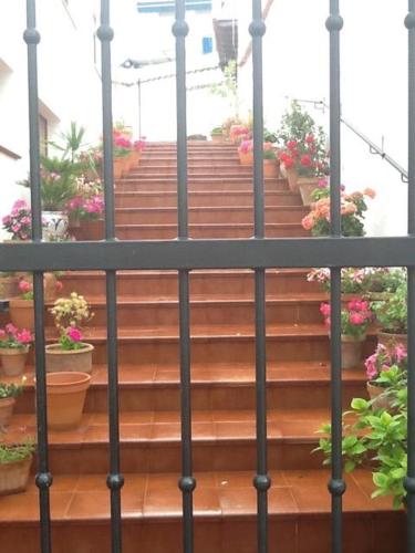 . La casita