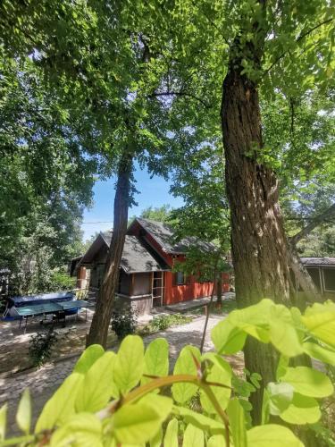  Odmaralište Lazar, Erdut, Ferienwohnung in Erdut