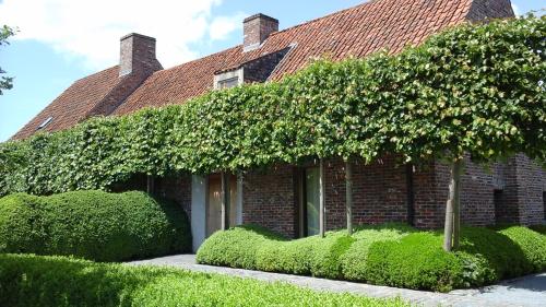 B&B De Hulst
