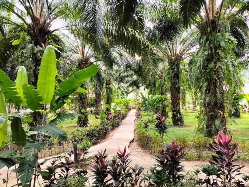 Khao Sok Palm Garden Resort