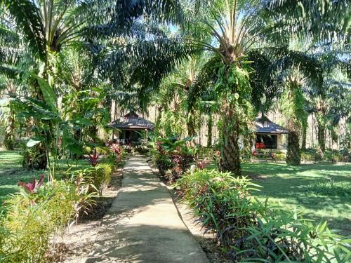 Khao Sok Palm Garden Resort