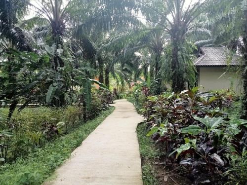 Khao Sok Palm Garden Resort