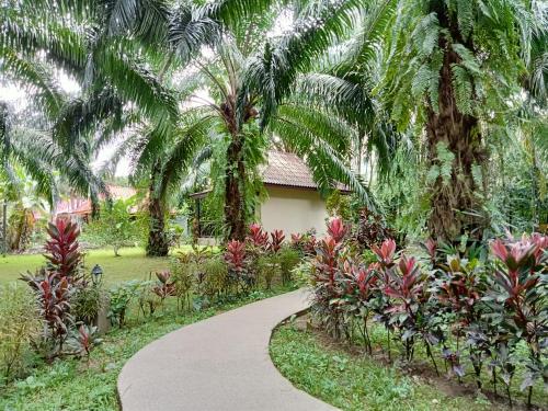 Khao Sok Palm Garden Resort