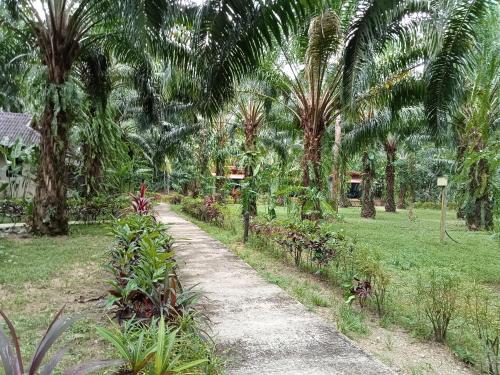 Khao Sok Palm Garden Resort