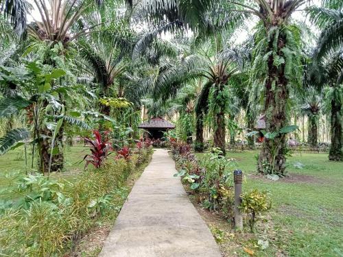 Khao Sok Palm Garden Resort