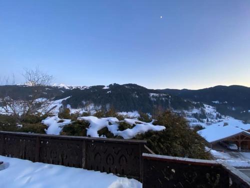 Chalet Cosy Les Gets Vue Montagne 2