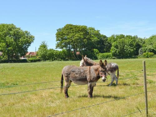 Suffolk Punch Cottage