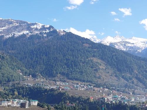 Nomadmanali