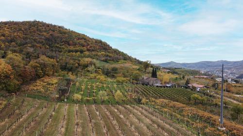 Affittacamere Casa Maria in Cazzano Di Tramigna
