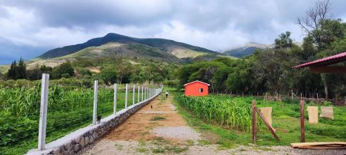 Armonia - La Victoria - Tarija