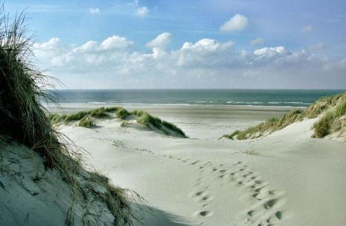 Appartement ZEEDUIN, Beg grond, eigen Terras - volledige KEUKEN- Resort Amelander Kaap, Incl verwarmd Hotel-ZWEMBAD