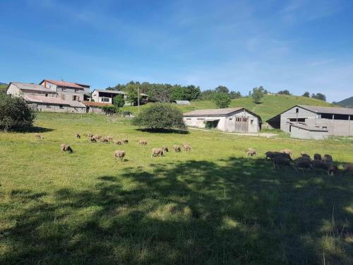 Gîte des Millets en Baronnies - Apartment - Rosans