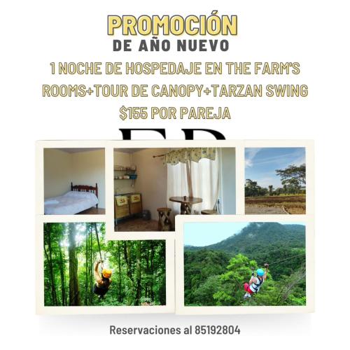The Farm's Rooms Arenal