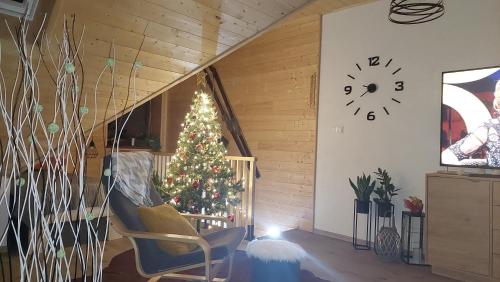 APARTMáN POD SMRČINOU (APARTMaN POD SMRCINOU) in Václavov u Bruntálu