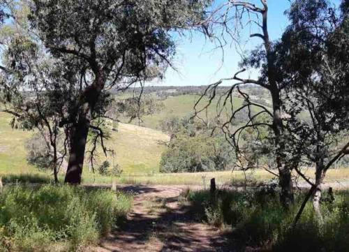 Black Wattle Cabin Turon Escape Capertee