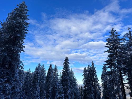 YoBee! Park Reservation Included! Heart of Yosemite - Homey Studios and Breakfast YoBee! Park Reservation Included! Heart of Yosemite - Homey Studios and Breakfast