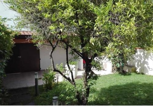 Vale’s Garden Flat
