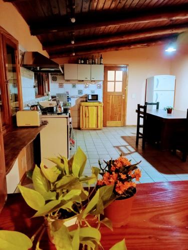 Kitchen, Cuatro Cerros Hostel in Lago Gutierrez