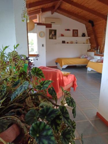 loft interno, Villa General Belgrano (photo 9)