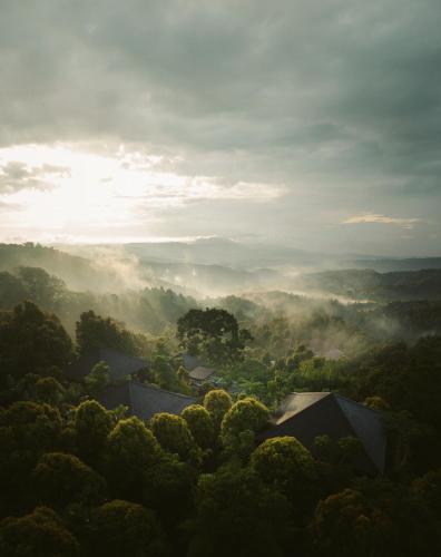 Munduk Cabins by Desa Hay