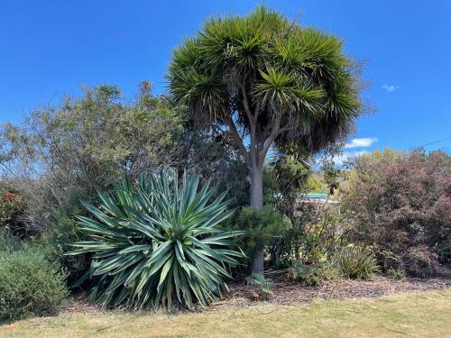 مدخل, Sisters Beach House in Sisters Beach