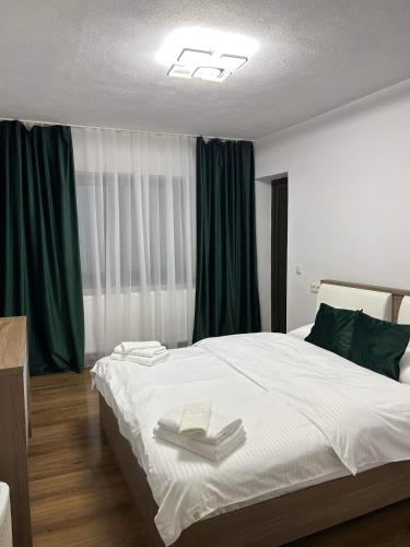 Vila AliBi Valiug - 200m from Ponton Casa Baraj - Accommodation - Văliug