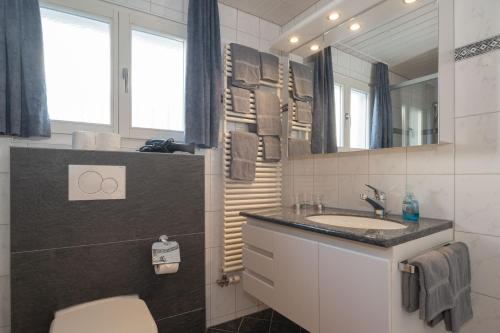 Apartment Jungfrau Lodge - image 6