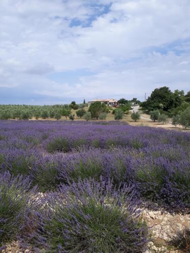 Maison Provence à Baudinard-sur-Verdon