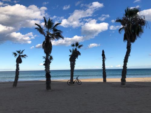 PLAYA SAN JUAN