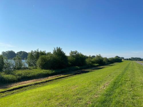 Sport és szabadidő, Elbinsel-Home ‘Alpakaliebe’ in Willhelmsburg