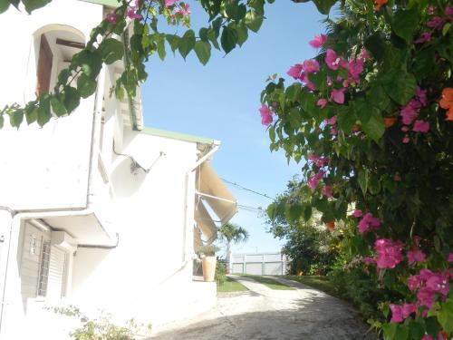 L'auberge étoilée - Location saisonnière - Morne-à-l'Eau