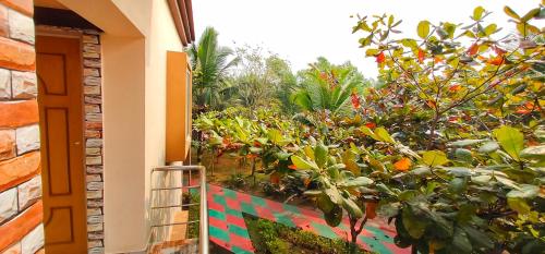 Room in Farmhouse - Sprawling Farmhouse with family rooms Konark