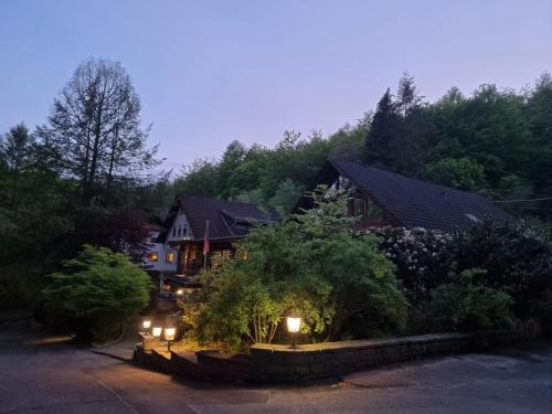 Siegerland-Hotel Haus im Walde - image 2