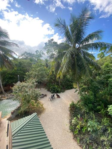 Úszómedence, Aventura Rincon Ecolodge in Las Terrenas