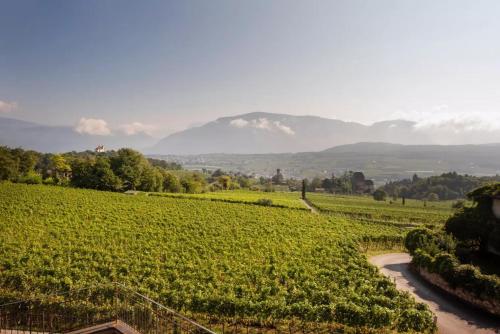 Nofnerhof, Appiano sulla Strada del Vino (zdjęcie 5)