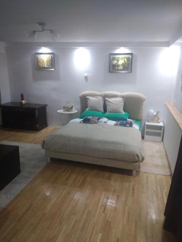 GOKSI apartment in เชลเยซนิชโก นาเซลเย