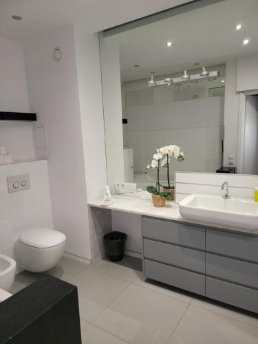 Amber Hostel Szlak, Cracovia (foto 8)