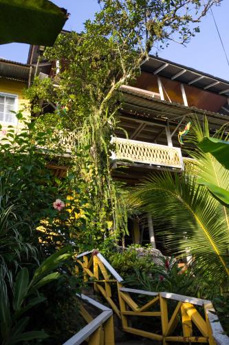 Bastimentos Hill Guest House in 巴斯蒂門多斯島