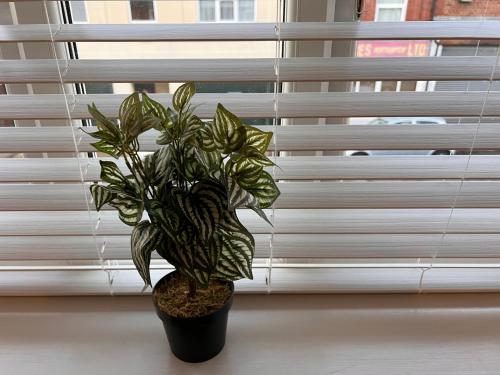 Superb modern flat in Northampton, parking &EV, Northampton (zdjęcie 10)