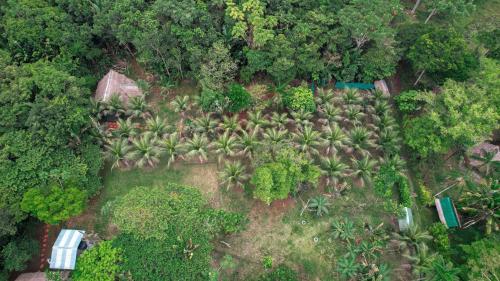 Hospedaje SELVA DE AVES