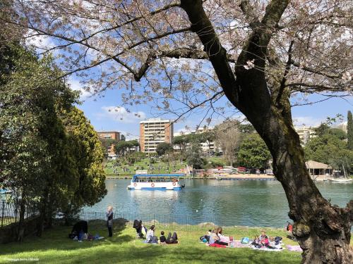 CASA Bella - image 14