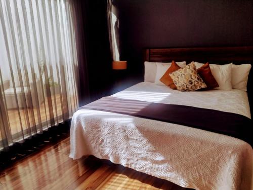 Hotel CLARUM 101 in Guadalajara, Mexico