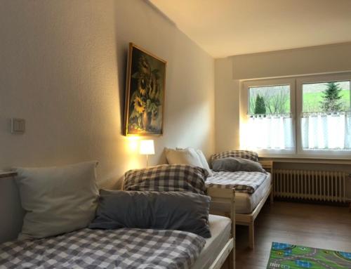 Ferienwohnung Päusken mit Rosengarten im Hochsauerland in Bestwig, Deutschland