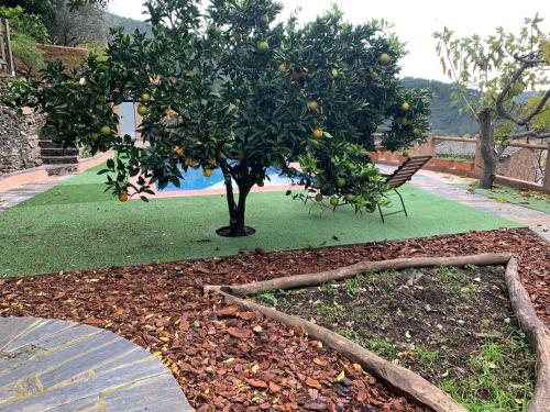 tuin, Caserío de Ovejuela (Caserio de Ovejuela) in Pinofranqueado